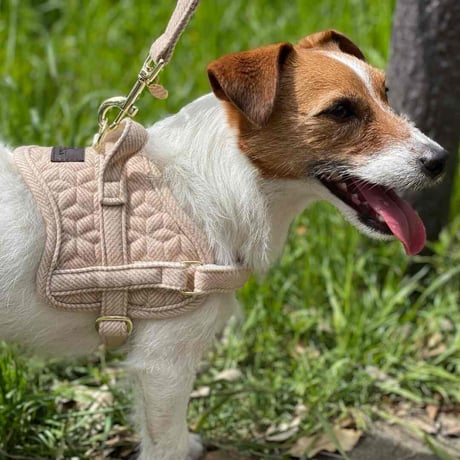 [Kentucky Dogwear]ソフトボディーハーネス Beige/Blue/Charcoal/Pink