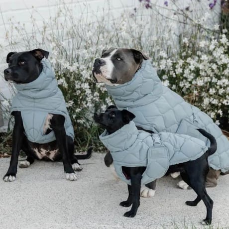 [Kentucky Dogwear] 防水ソフトコート くすみブルー