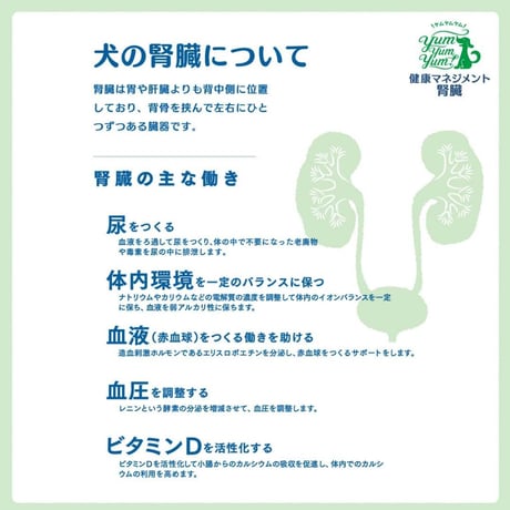 [yum yum yum! ]  健康マネジメント腎臓 ドライ 超小粒 1.3kg