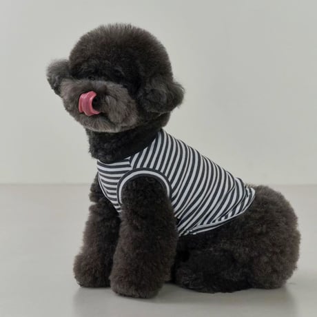 [Small Stuff]  袖なしストライプ Tシャツ ブルー/チャコール