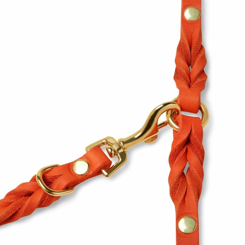 Molly&Stitch] 本革ハンズフリーリード MANGO | モフモフ mof_mof