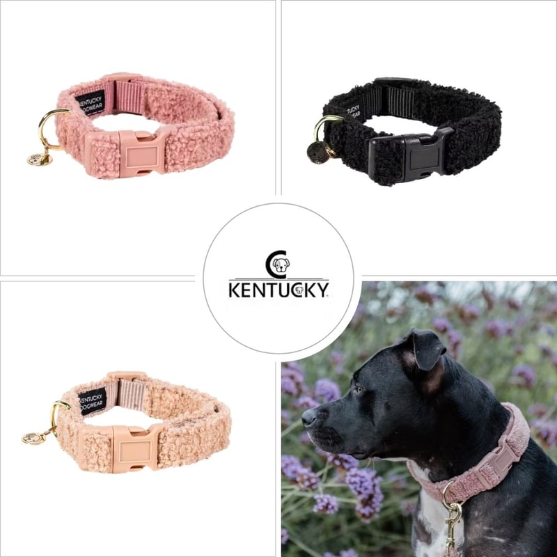 CATEGORY WALK | モフモフ mof_mof｜北欧デザインのペットグッズ