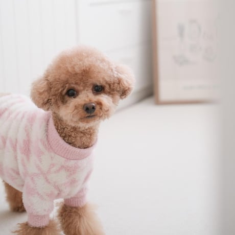 [Pups & Bubs]  ふわもこニット ブルー/ピンク
