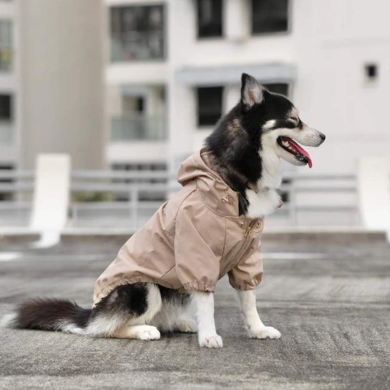 lambwolf collective レインコート lambwolf] レインコート オリーブ/ピンクベージュ | モフモフ