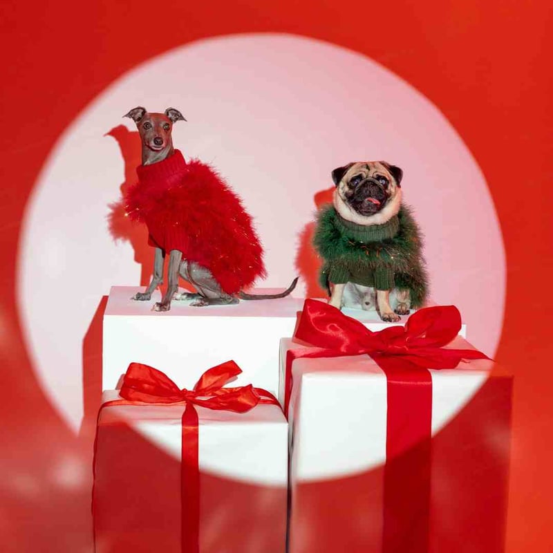 max-bone] Christian Cowan キラキラニット レッド/グリーン | モ