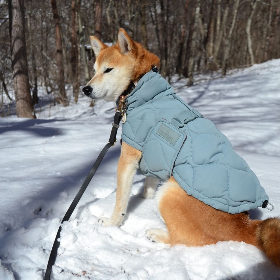 Kentucky Dogwear] 防水ソフトコート くすみブルー | モフモフ mof_m