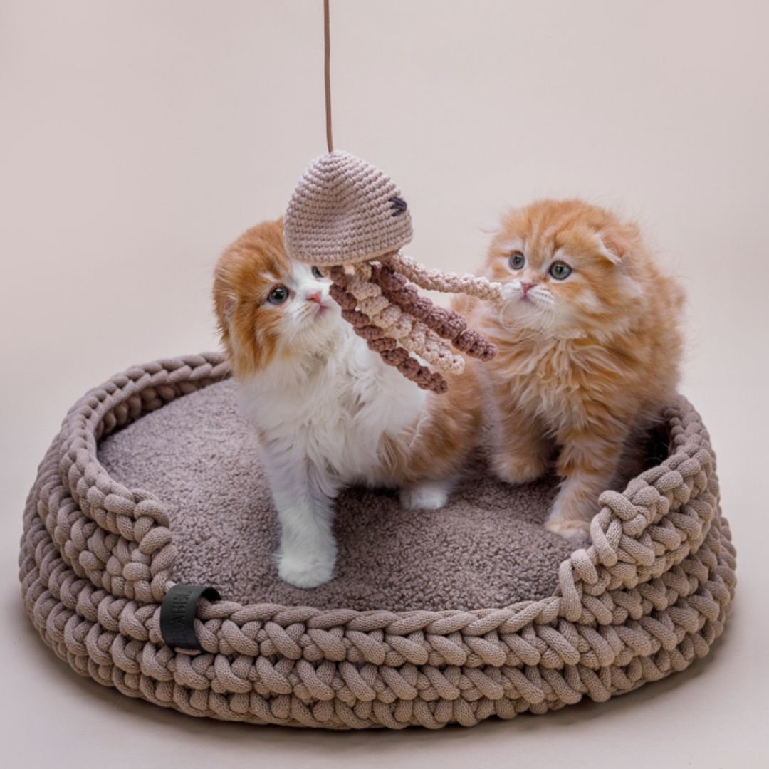 Nommi 400%v2 きのこ シリーズ パステル水色 くらげ Amazon.co.jp: CHIBIHOUSE Nommi 400% v2 キノコシリーズ