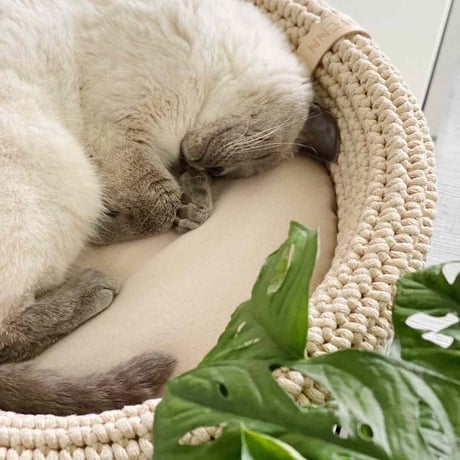 [Labbvenn] COCO Cat Bed ミルクティー