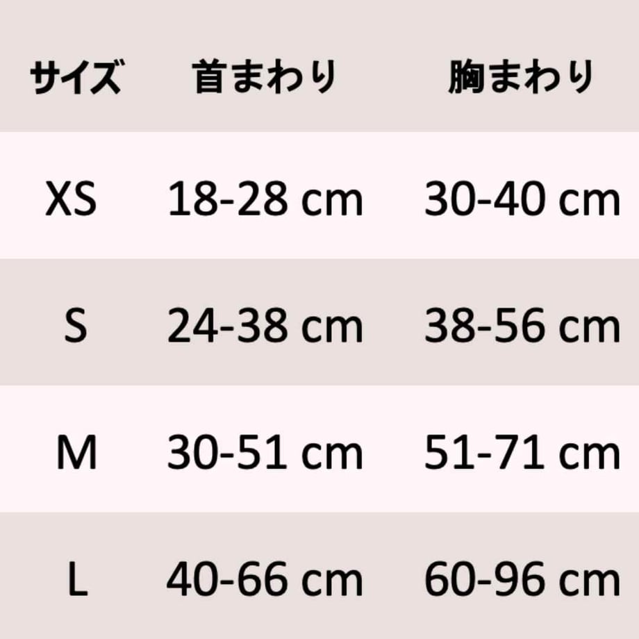 63bced544405422061c9ca19