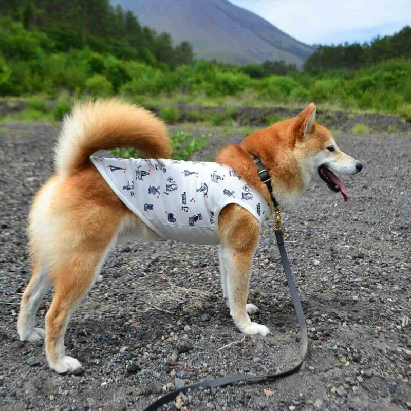 PET SO CHIC] クール タンクトップ A DOG IN PARIS (XSからX