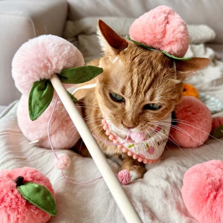 [WET NOSE] キャットトイ ピーチジュース