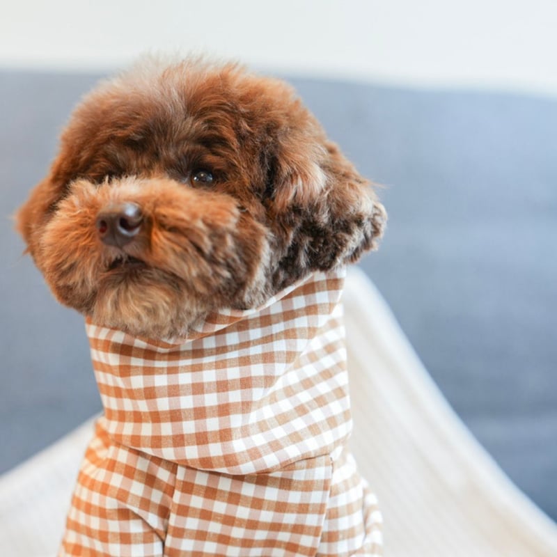 MR WOOF] ギンガムチェック ベージュ/ネイビー | モフモフ mof_mof