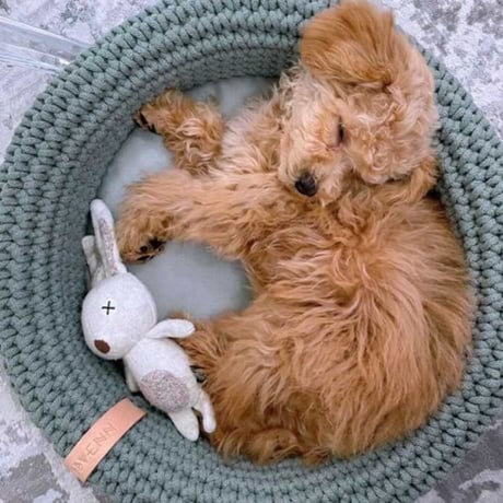 [Labbvenn] COCO Cat Bed スモーキーグリーン