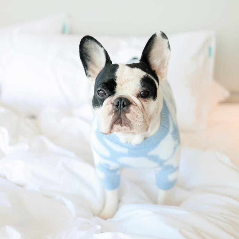 ふわふわもふもふ ≪12月の新商品≫ふくふくシマエナガだいすきふわふわぽん☆アミューズ