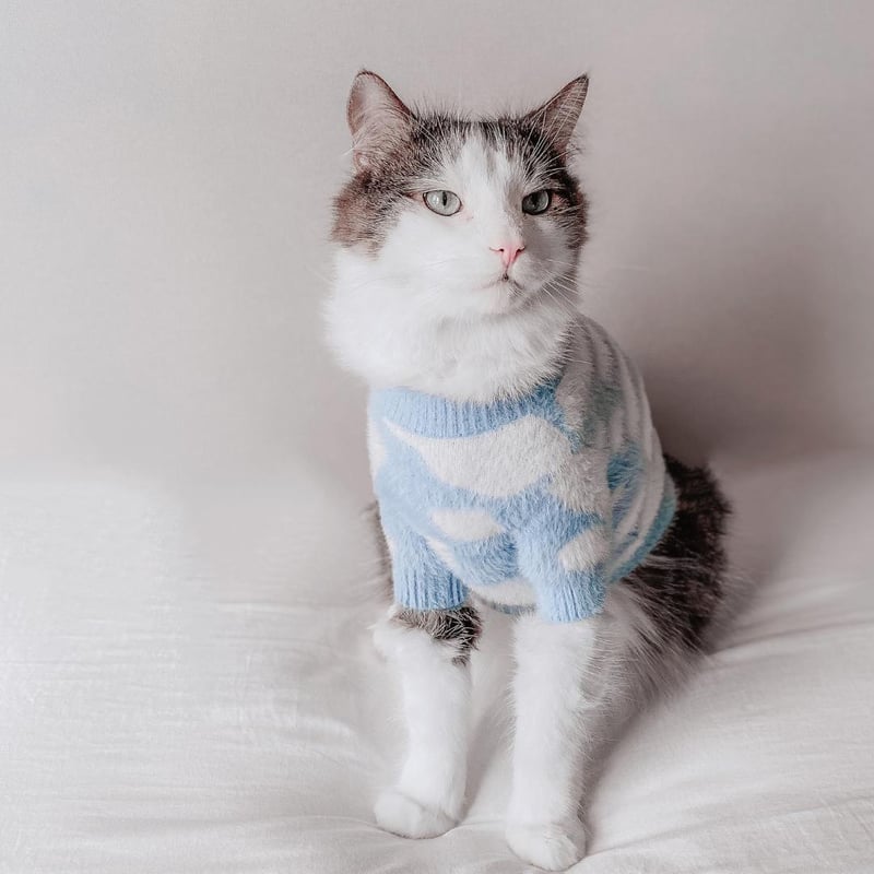 ふわふわもふもふ Pups & Bubs] ふわもこニット ブルー/ピンク | モフモフ mof_mof｜北