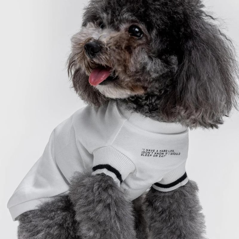 【IT-DOGS】itdogs⭐︎パフスリーブ⭐︎トップス⭐︎ IT-DOGS】itdogs⭐︎パフスリーブ⭐︎トップス⭐︎ CATEGORY