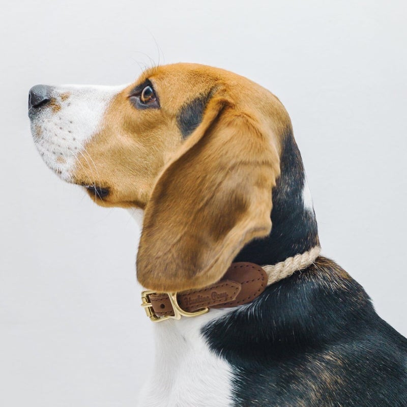 hunting pony　犬　ハーネス　キャメル Hunting Pony] 麻ロープ 首輪 グレージュ/ピンク/キャメル | モフモフ