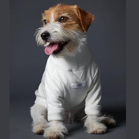 [Striped Dog]  スウェット  クリーム/ブルーグレー