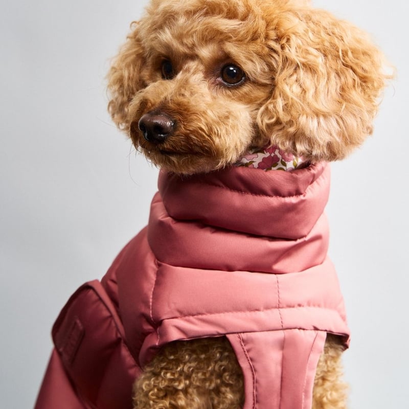 Cloud 7] アラスカ 防寒コート 2025年新作 XXSからXLまで | モフモフ m