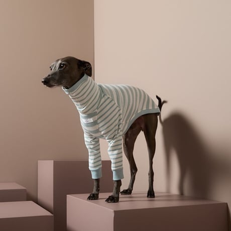 [Striped Dog]  ハイネック リブ ボーダー イタグレ用 ２色