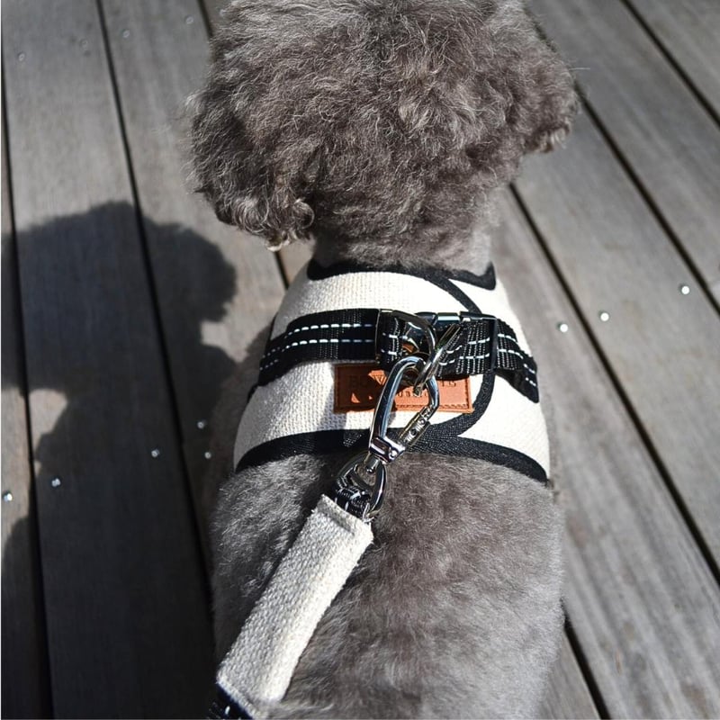 Bowl&Bone ハーネス リード セット BBR FUWA 犬 散歩 BBR] FUWA ハーネスとお揃いのリード 6色 | モフモフ mof_mof