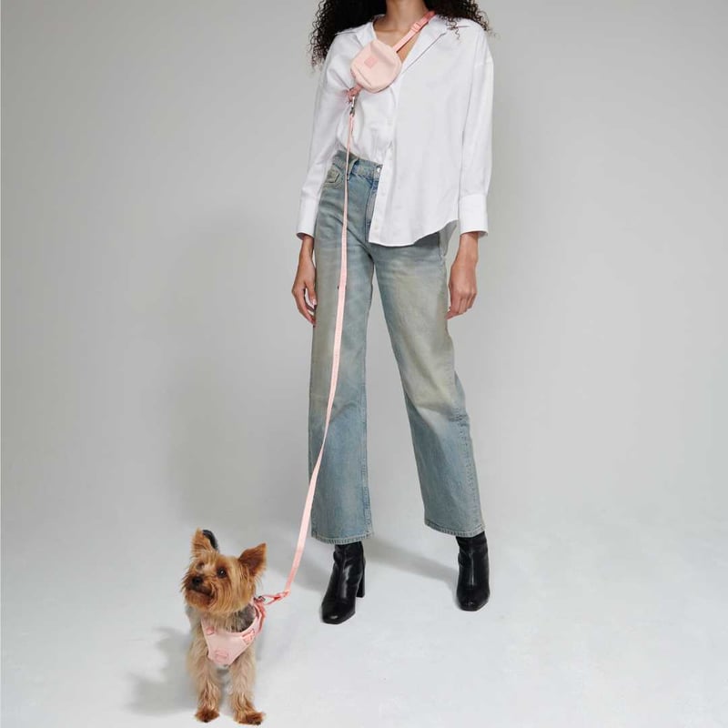 max-bone] GO! Easy ハンズフリー ミニ 4色 | モフモフ mof_mof