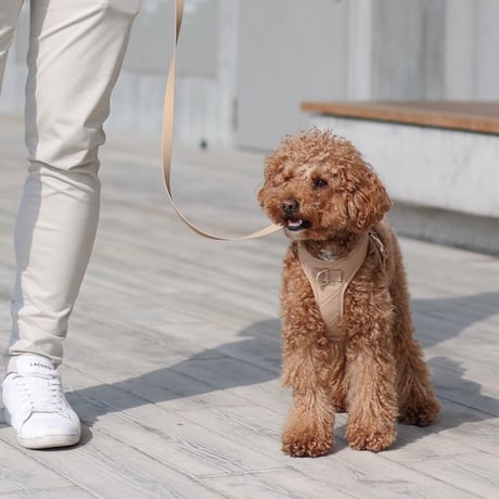 [Pups & Bubs]  セキュリティー ハーネス ベージュ/ブラック