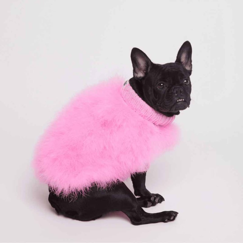 CATEGORY max-bone | モフモフ mof_mof｜北欧デザインのペットグッズ