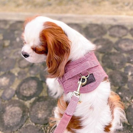 [Kentucky Dogwear]ソフトボディーハーネス Beige/Blue/Charcoal/Pink