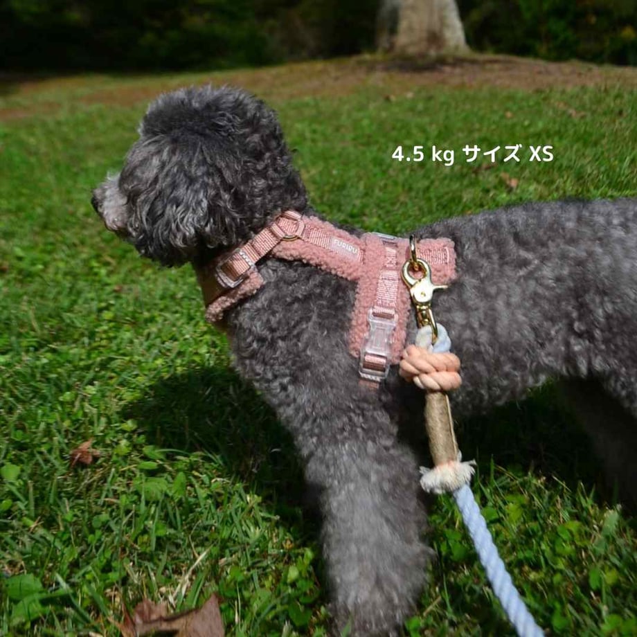 63bced544405422061c9ca19