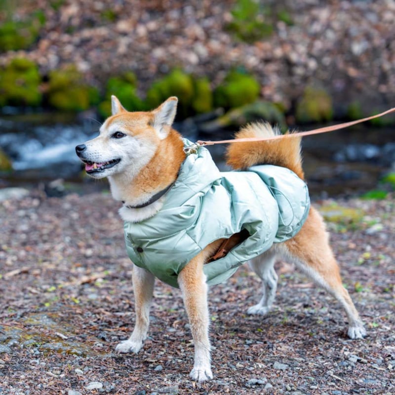 max-bone] フードつき防水ダウン ミント | モフモフ mof_mof｜北欧