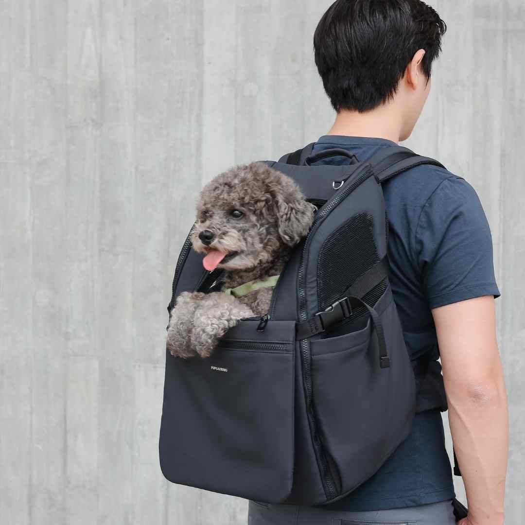 PUPS & BUBS 犬用キャリーバッグ ブラック　最終値下げ 楽天市場】【ポイント10倍】 犬 キャリーバッグ 【正規品