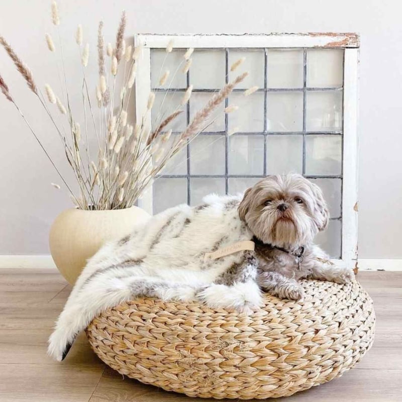 Labbvenn] エコファーブランケット (S) アイボリーグレージュ