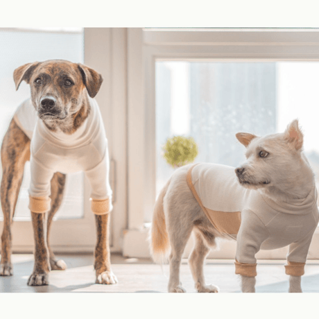 [furryfolks]  High Neck Tee  クリーム