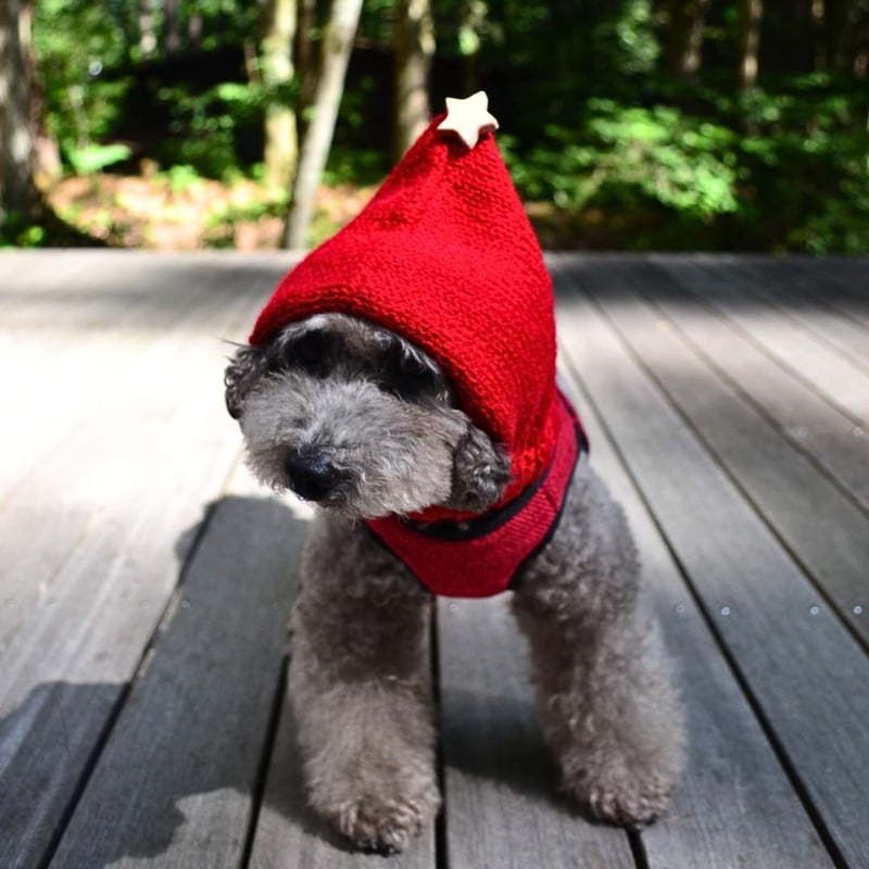 CATEGORY 帽子/スヌード/マフラー | モフモフ mof_mof｜北欧デザインの