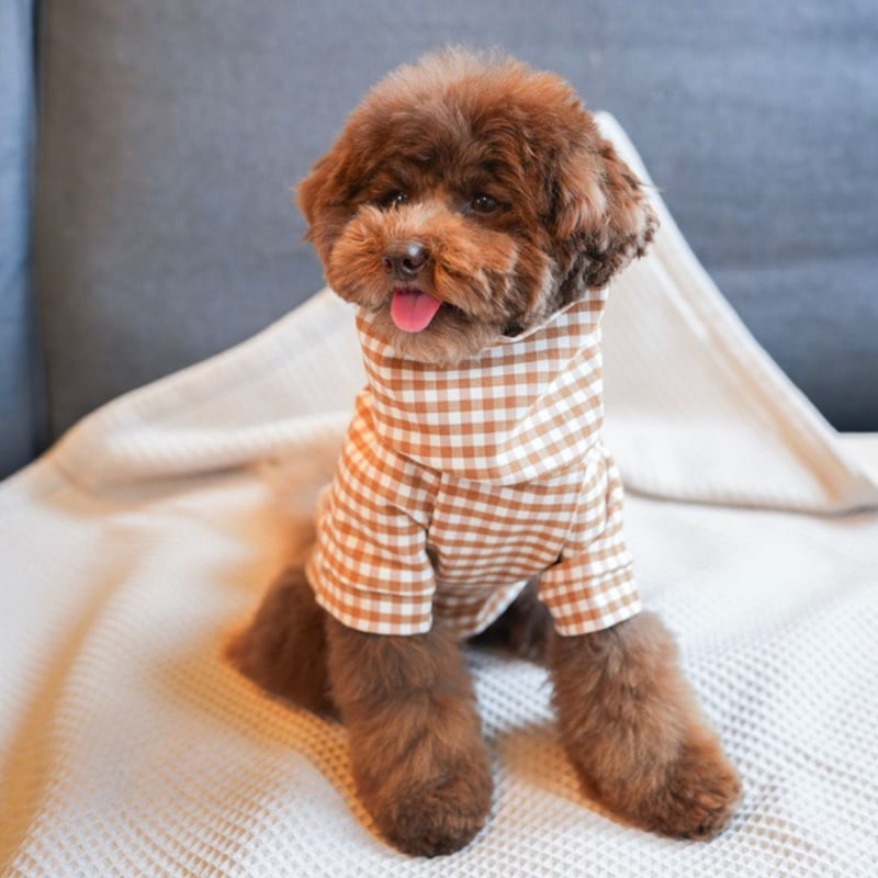 MR WOOF] ギンガムチェック ベージュ/ネイビー | モフモフ mof_mof