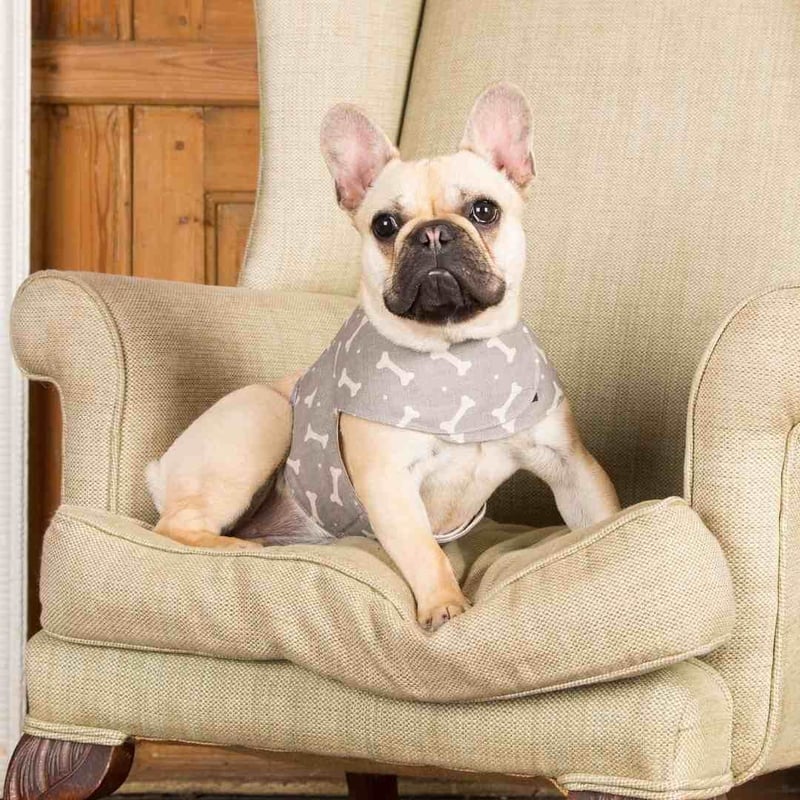 犬マフィンさん専用 ECミッフィークールタンク りんご ペット用品 犬服 ペットウェア