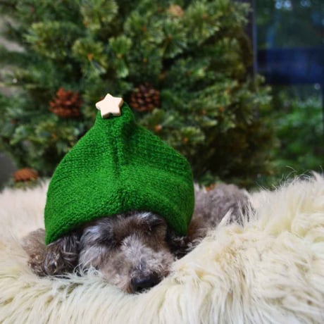 [ONLY Wan] クリスマスツリーニット帽 グリーン S/L