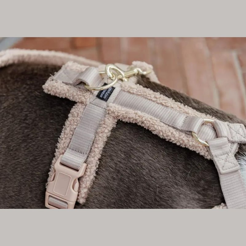 Kentucky Dogwear] Y型ソフトハーネス ベージュ/ブラック | モフモフ m