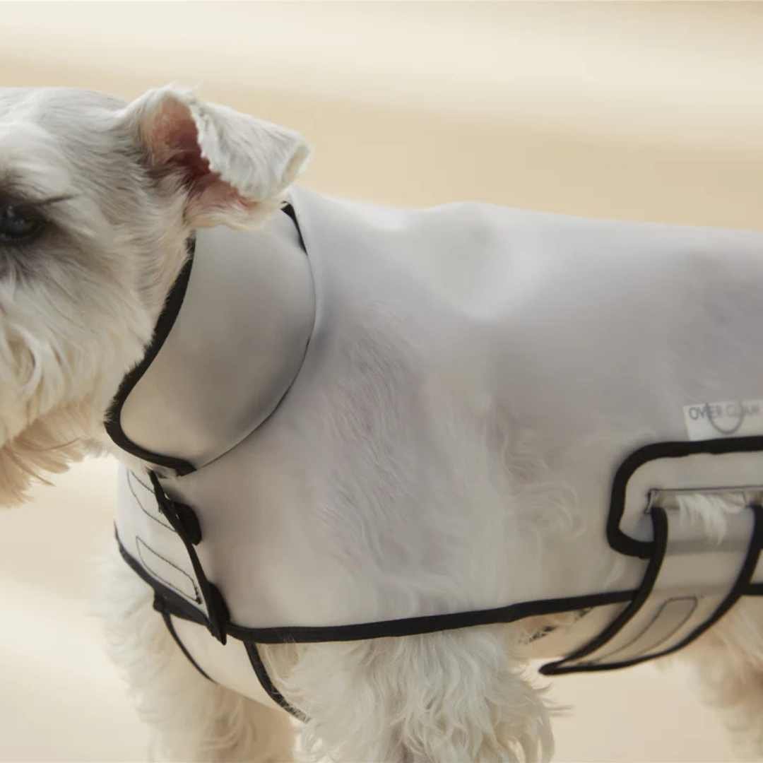 テオアイムクール アフター コート 犬服 SM テオアイムクール アフター