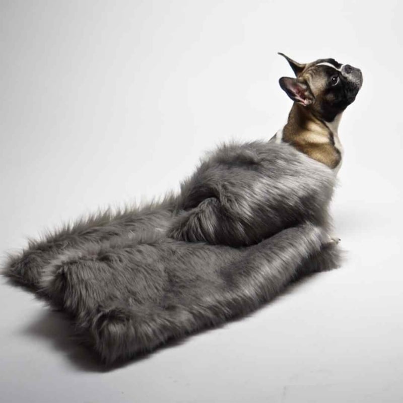 Labbvenn] エコファーブランケット (M) カプチーノ/グレー/ホワイト