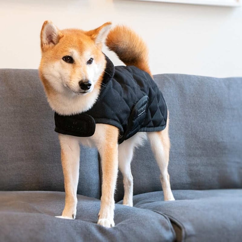 Kentucky ドッグコート Kentucky Dogwear] 防寒コート ブラック/ボルドー/ネイビー