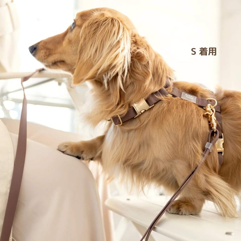 う*る様 MURRAL タグ付き　ハーネス　シルバー う*る様 MURRAL タグ付き ハーネス シルバー Jewel harness (Silver)