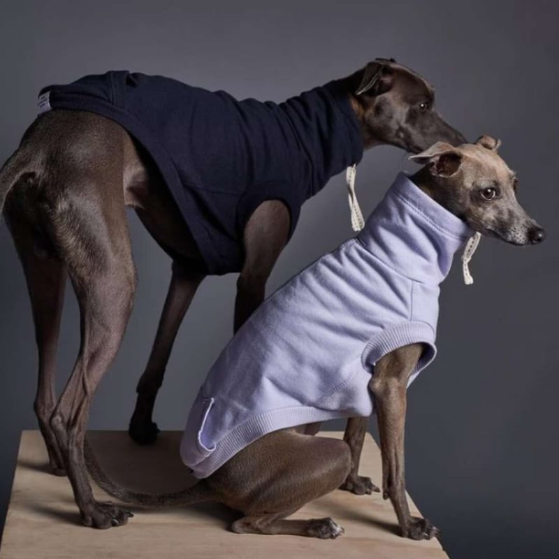【IT-DOGS】itdogs⭐︎パフスリーブ⭐︎トップス⭐︎ IT-DOGS】itdogs⭐︎パフスリーブ⭐︎トップス⭐︎ CATEGORY