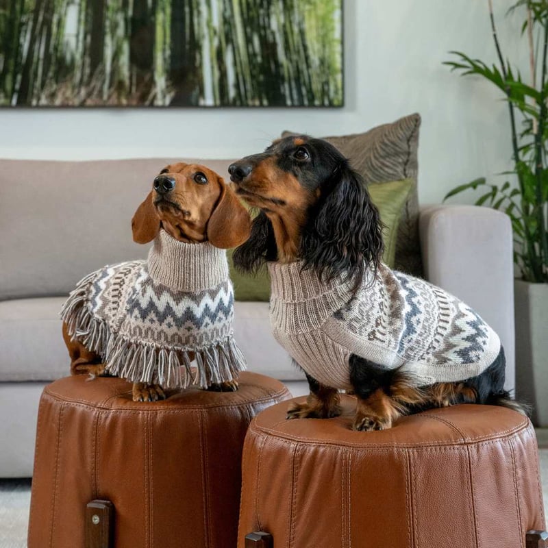 ALQO WASI ] アルパカ ポンチョ ベージュ | モフモフ mof_mof｜北欧デザ