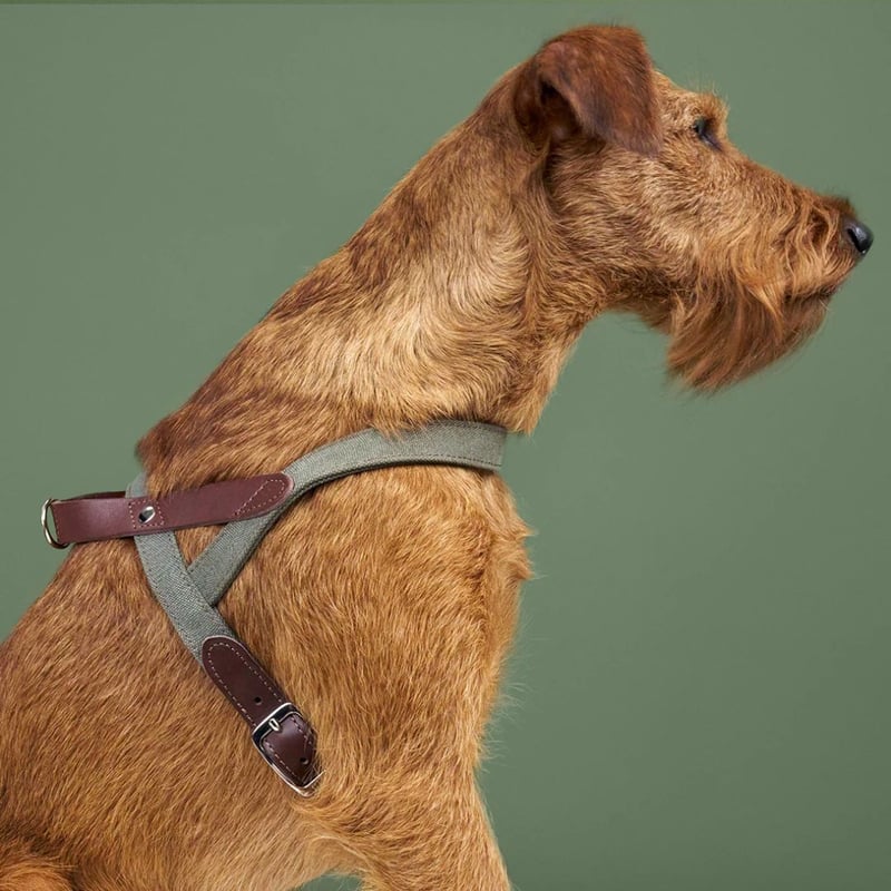 CATEGORY レザー製 | モフモフ mof_mof｜北欧デザインのペットグッズ