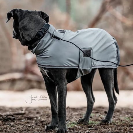 [Kentucky Dogwear] 防水首輪 ブラック