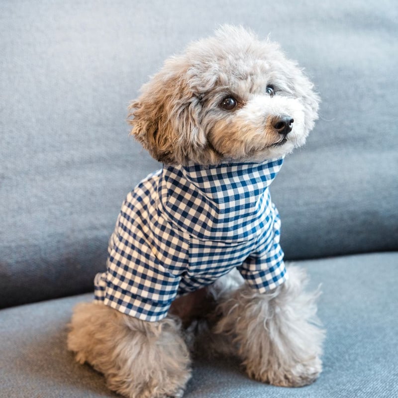 MR WOOF] ギンガムチェック ベージュ/ネイビー | モフモフ mof_mof