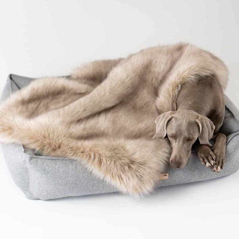 Labbvenn] エコファーブランケット (M) カプチーノ/グレー/ホワイト