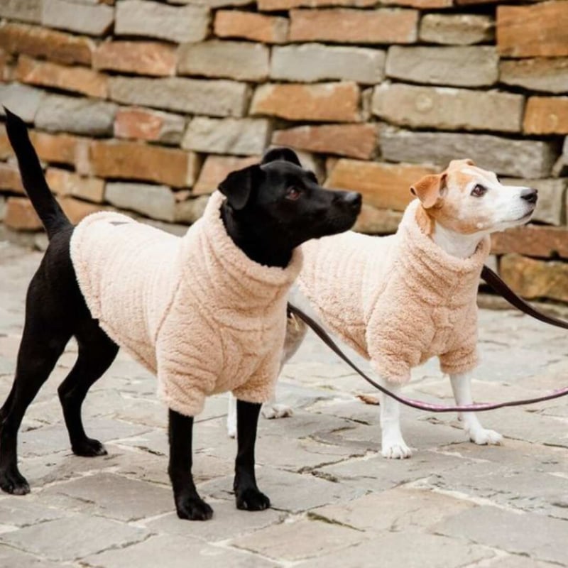 CATEGORY Kentucky Dogwear | モフモフ mof_mof｜北欧デザイン